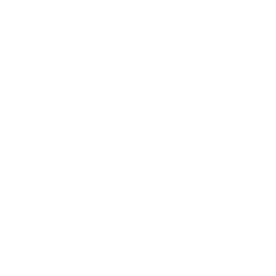 Onyx Logo New11
